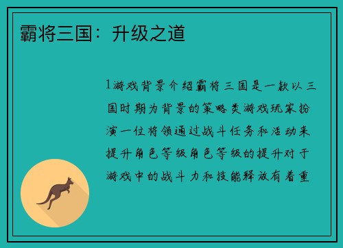 霸将三国：升级之道